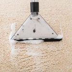 Professional Carpet Cleaning in Tacoma: A Smart Investment for Your Home