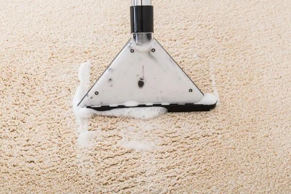 Professional Carpet Cleaning in Tacoma: A Smart Investment for Your Home